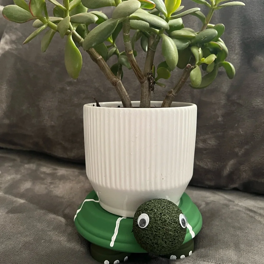 Green Turtle Plant Holder